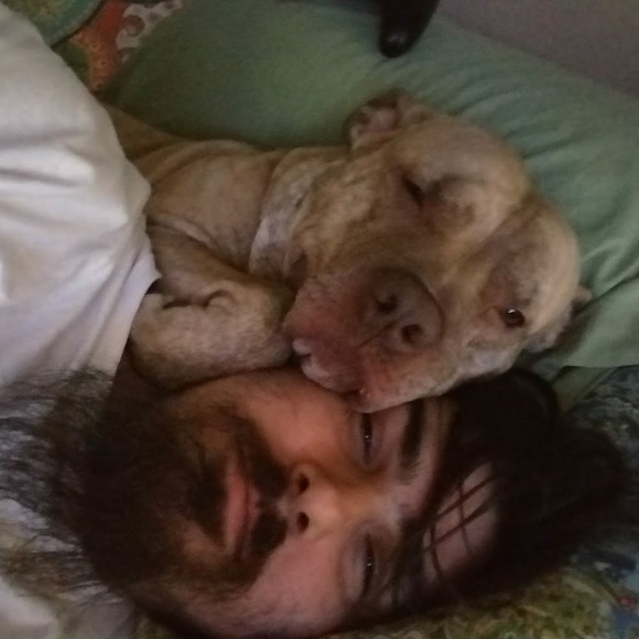 Meet your Posher, Daniel - Picture 1 of 1